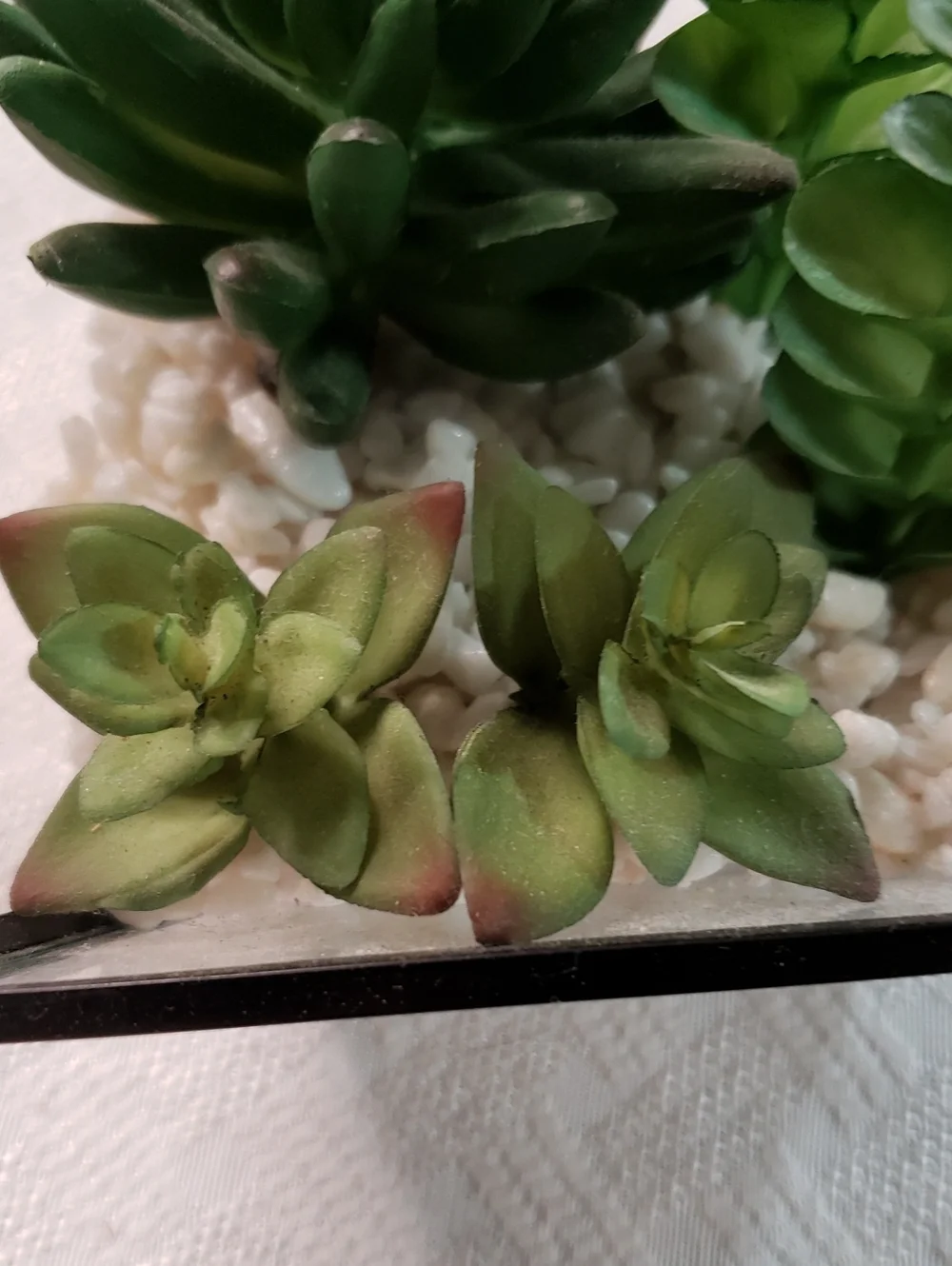 Source Unknown Black Pyramid Glass Terrarium with Green Faux Succulents